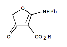 2-苯胺-4-氧代-4,5-二氢呋喃-3-羧酸