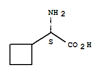 L-环丁基甘氨酸