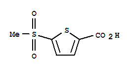 5-甲磺酰噻吩-2-羧酸