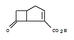 7-氧代双环[3.2.0]庚-2-烯-2-羧酸
