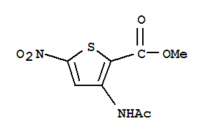 甲基3-乙酰氨基-5-硝基-2-噻吩羧酸酯