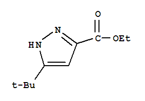 3-叔丁基-1H-吡唑-5-羧酸乙脂
