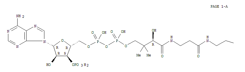 苯,1-(4-丙基环己基)-4-(1-炔丙基&lt丙炔基&gt)-, 反- (9CI)