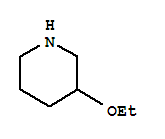 3-乙氧基哌啶