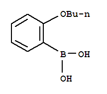 2-丁氧基苯硼酸