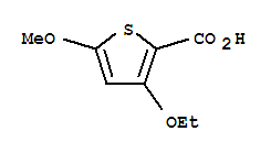 3-乙氧基-5-甲氧基-2-噻吩羧酸