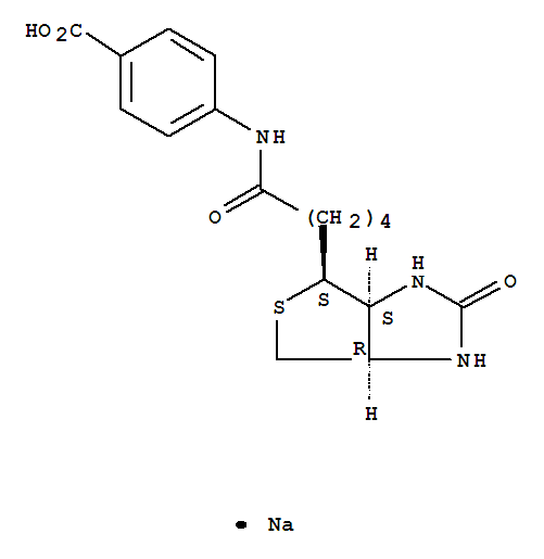 Tachykinin (111-129) Beta-Prepro (Human)
