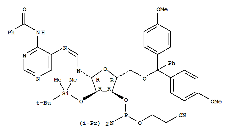 2'-TBDMS-Bz-rA 亚磷酰胺单体