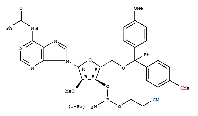 N-苯甲酰基-5'-O-(4,4-二甲氧基三苯甲基)-2'-O-甲基腺苷-3'-(2-氰基乙基-N,N-二异丙基)亚磷酰胺