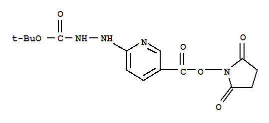 6-[1-[(1,1-二甲基乙氧基)羰基]肼基]-3-吡啶羧酸 2,5-二氧代-1-吡咯烷基酯