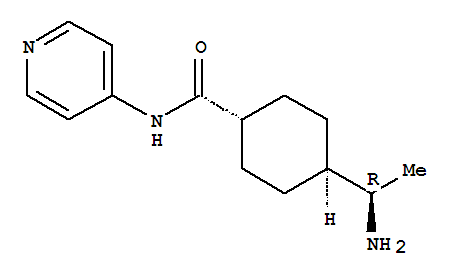 Y-27632 DIHYDROCHLORIDE
