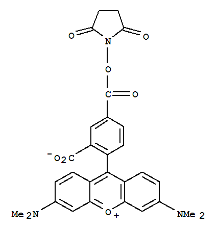 5-羧基四甲基罗丹明琥珀酰亚胺酯