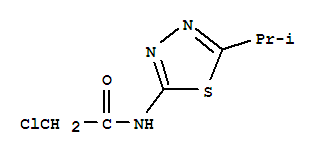 2-氯-n-(5-异丙基-[1,3,4]噻二唑-2-基)-乙酰胺