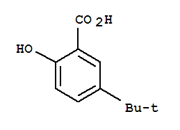 2-羟基-5-叔丁基苯甲酸