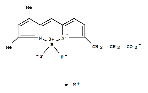 4,4-二氟-5,7-二甲基-4-硼杂-3a,4a-二氮杂-s-吲达西-3-丙酸