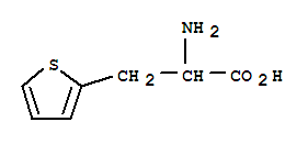 3-(2-噻吩基)-DL-丙氨酸