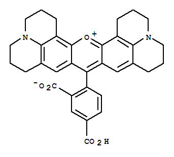 5-羧基-X-罗丹明