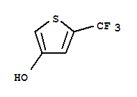 3-羟基-5-三氟甲基噻吩