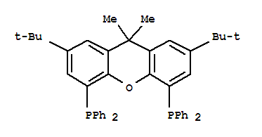 (R,r)-2,7-二-叔丁基-9,9-二甲基-4,5-双(甲基苯膦)氧杂蒽