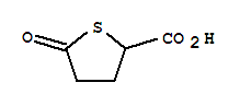 5-氧代四氢-2-噻吩羧酸