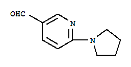 6-（1-吡咯烷）烟酰甲醛