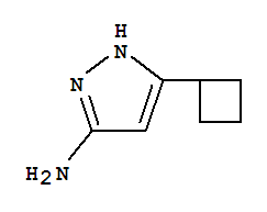 5-环丁基-吡唑-3-胺