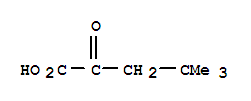 4,4-二甲基-2-氧戊酸