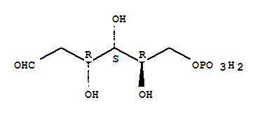 [(2R,3S,4R)-2,3,4-三羟基-6-氧代己基]磷酸二氢酯