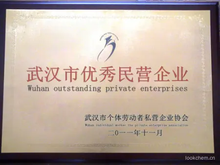 优秀民营企业
