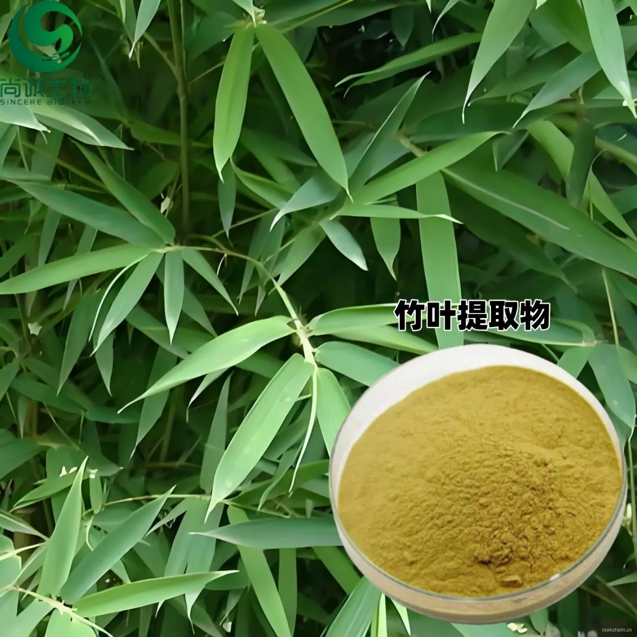竹叶提取物1.jpg