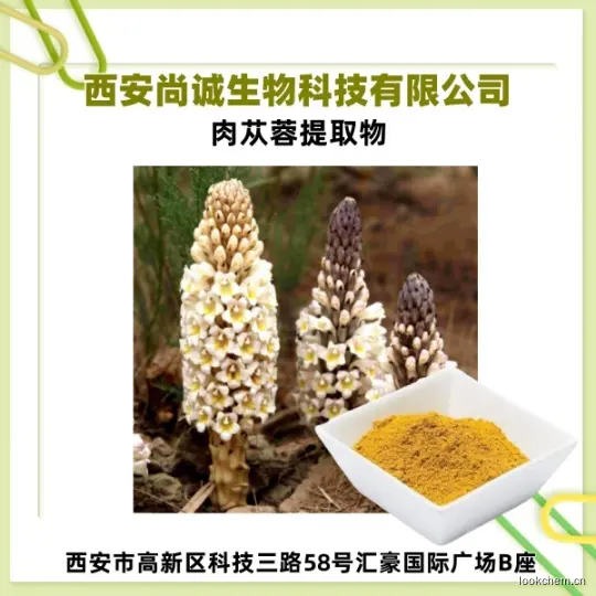 肉苁蓉提取物12.jpg