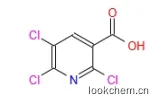2,5,6-三氯烟酸.png