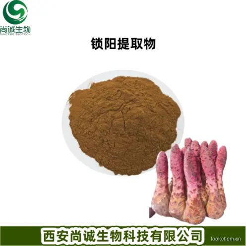锁阳提取物 锁阳多糖 尚诚生物.png