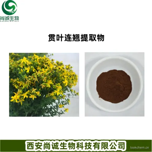 贯叶连翘提取物1.png
