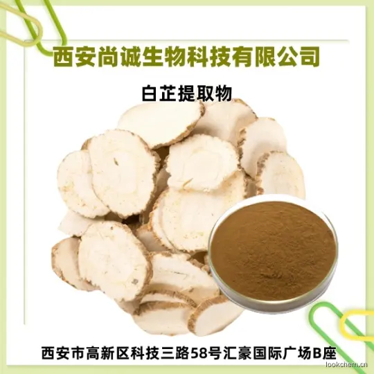 白芷提取物1.jpg