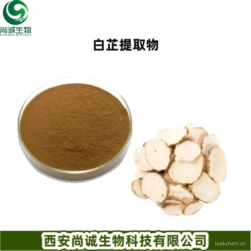 白芷提取物.png