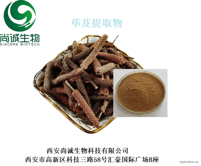 荜芨提取物.png