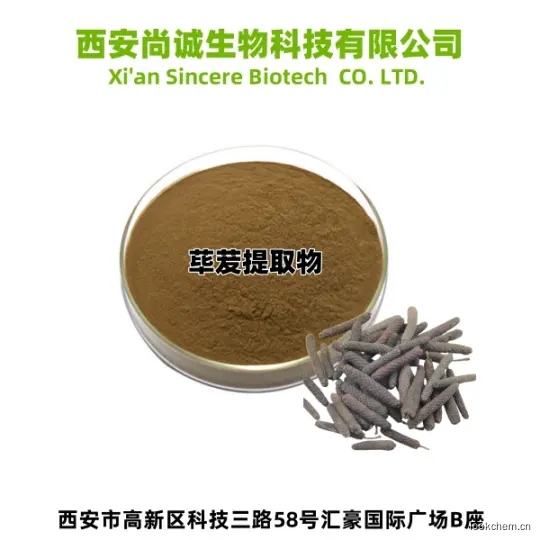 荜芨提取物3.png