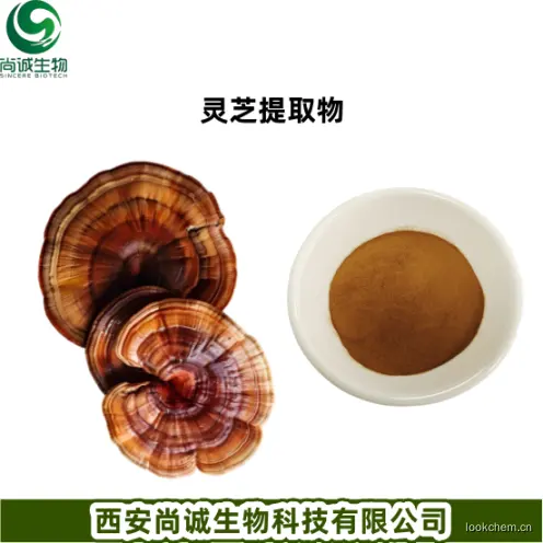 灵芝提取物.png