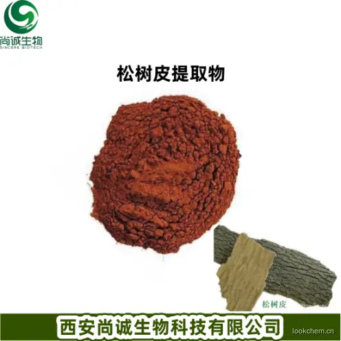 松树皮提取物 尚诚生物1.png