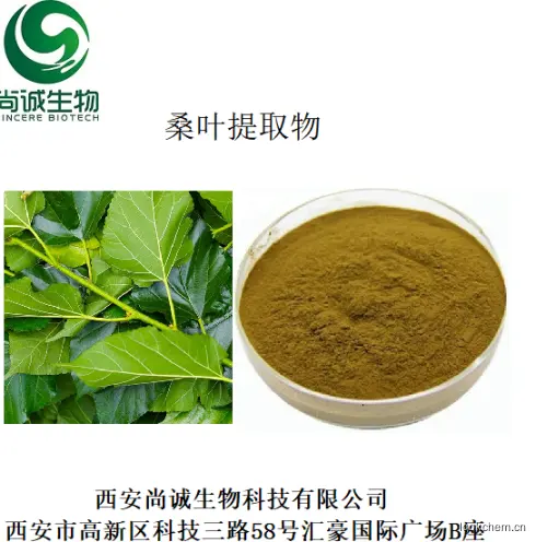 桑叶提取物.png