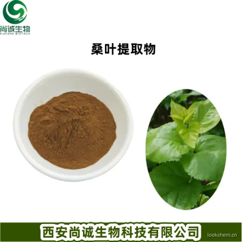 桑叶提取物2.png