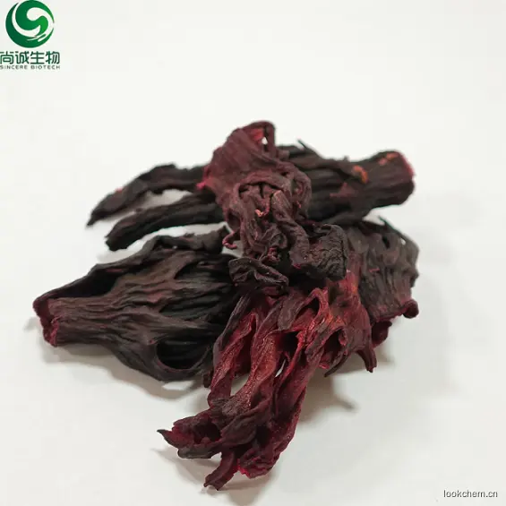 玫瑰茄6.png