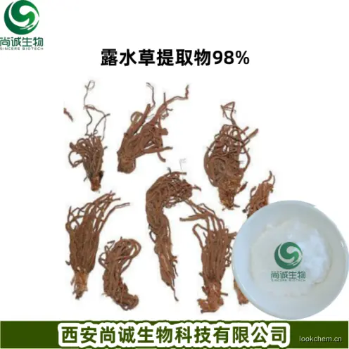 露水草提取物98% 尚诚生物.png