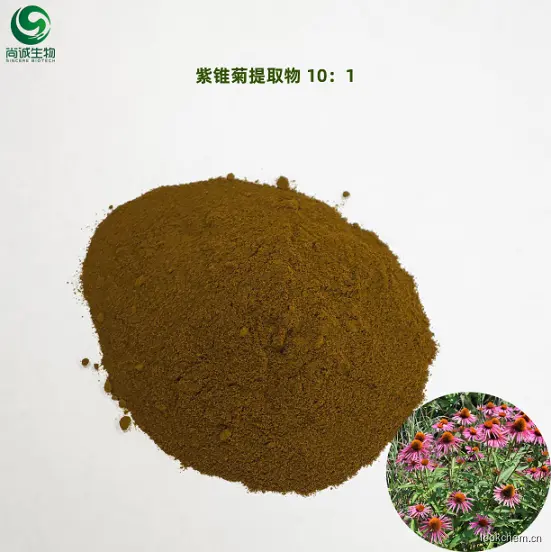 紫锥菊提取物 10：1 西安尚诚生物.png