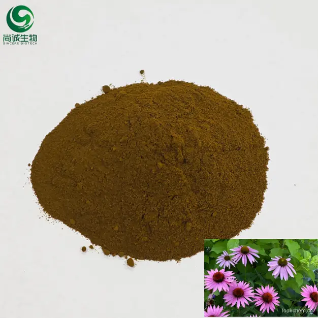 紫锥菊提取物 水提 10：1.png