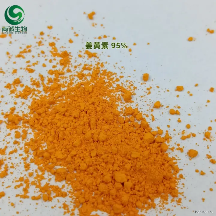 姜黄素 95% 西安尚诚生物.jpg
