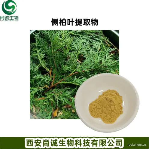 侧柏叶提取物成片.png