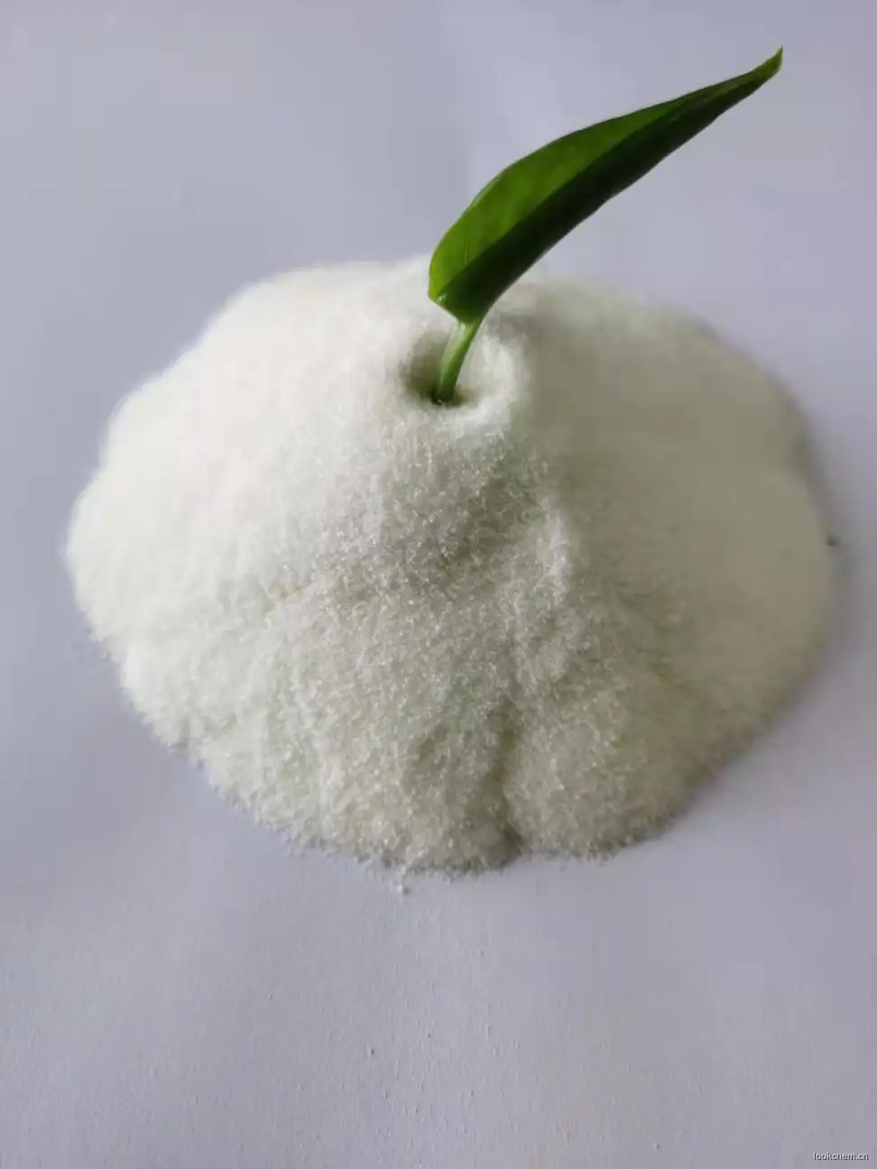 活性炭专用粘合剂.jpg