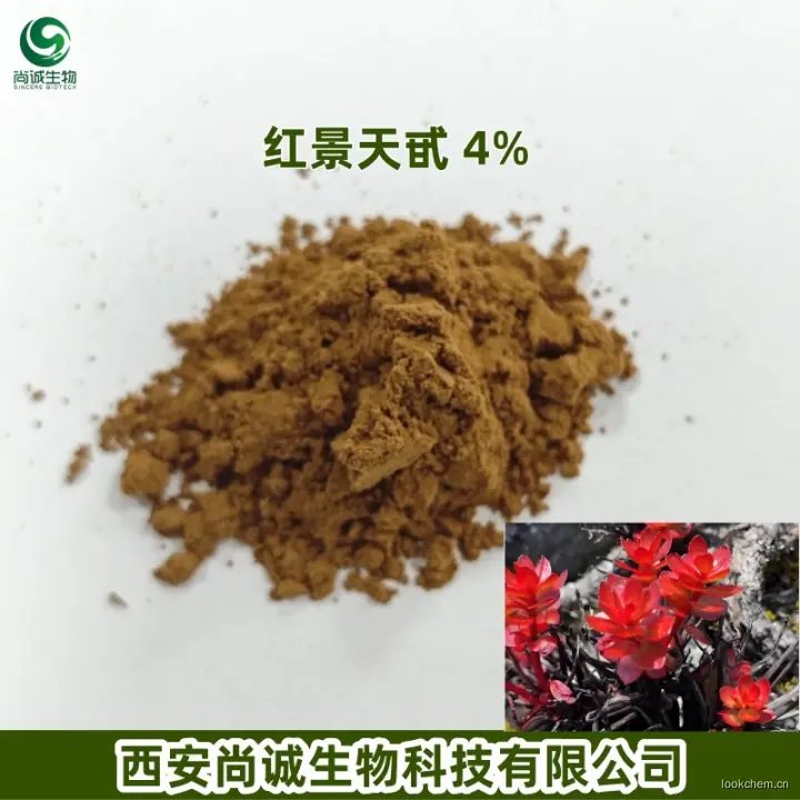 红景天甙 尚诚生物.jpg